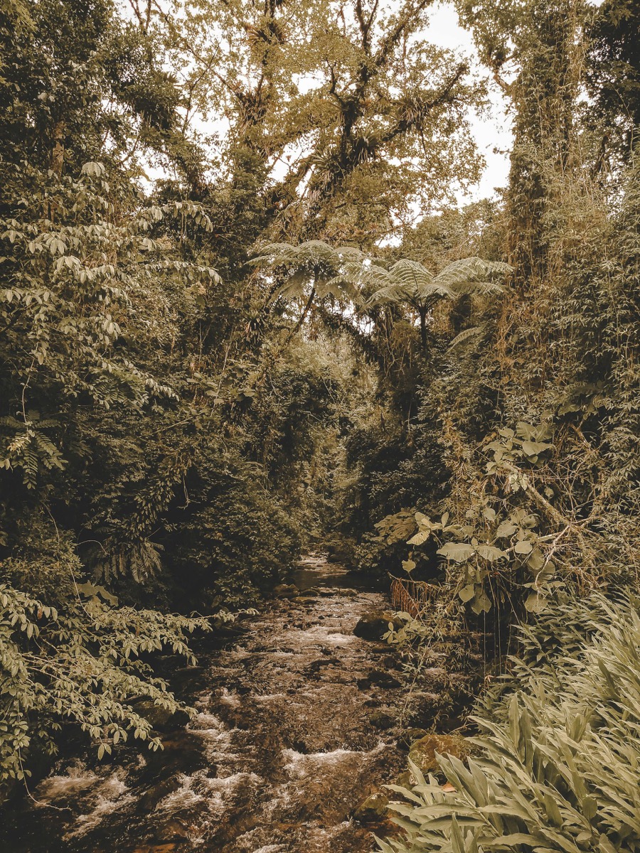 Outdoor wedding reception with string lights
